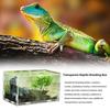 Hatcher Lizard Container Insect Breeding Box Hatching Terrariums Reptile Incubator Insect Supplies