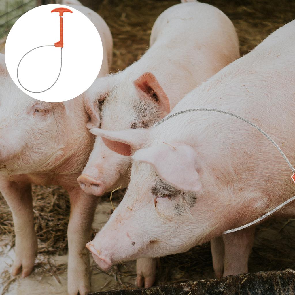 Набор для свиней Оборудование для фермы Ловушка Инструмент для ловли свиней Аксессуары Соковыжималка Стальная проволока Стабилизатор Веревка