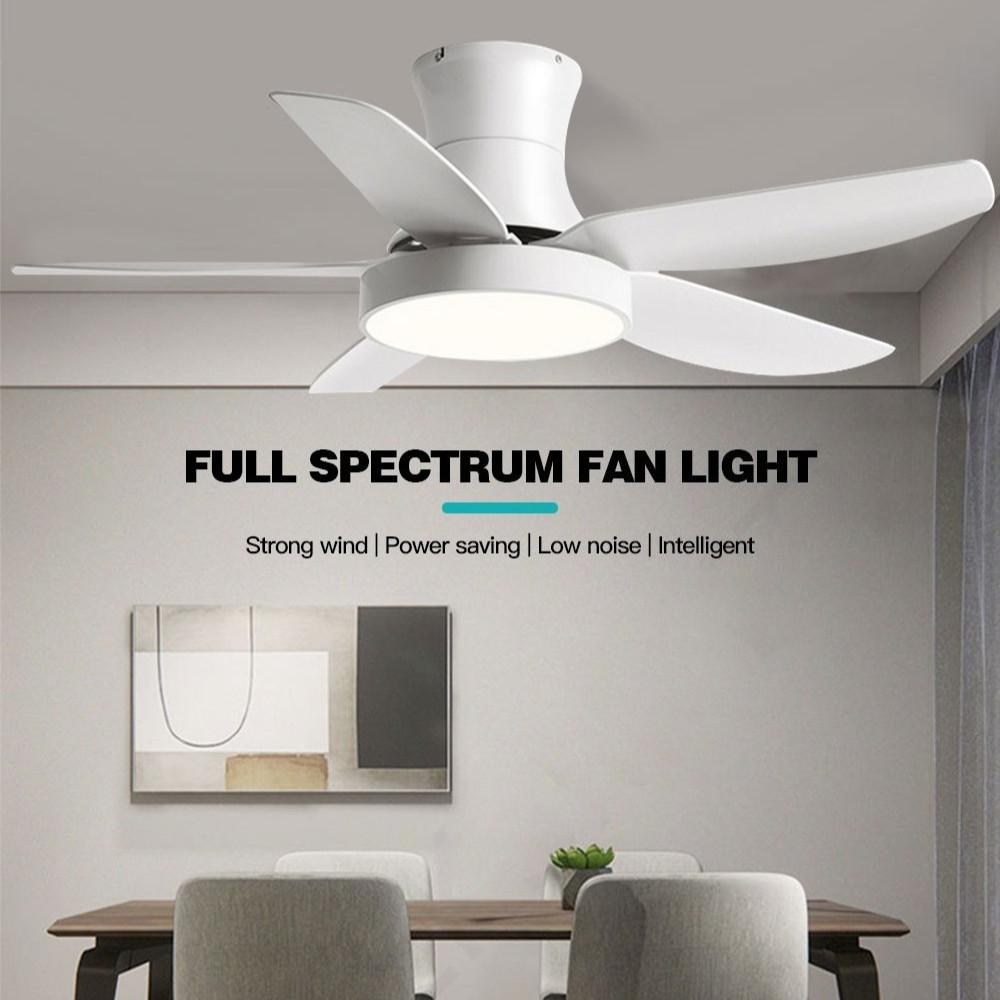42" 52"  Lamp Frequency Conversion Remote Control Ceiling Fan Light Balcony Fan Ceiling Fan With Light LED Full Spectrum Fan