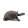 Realistic Turtle Action Figures Simulation Tortoise Animals Figurines Sea Turtle Model  Collection