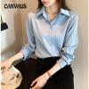 Chiffon Shirt Women's Spring and Autumn Fashion Tops Professional Temperament Draped Long-sleeved Shirt