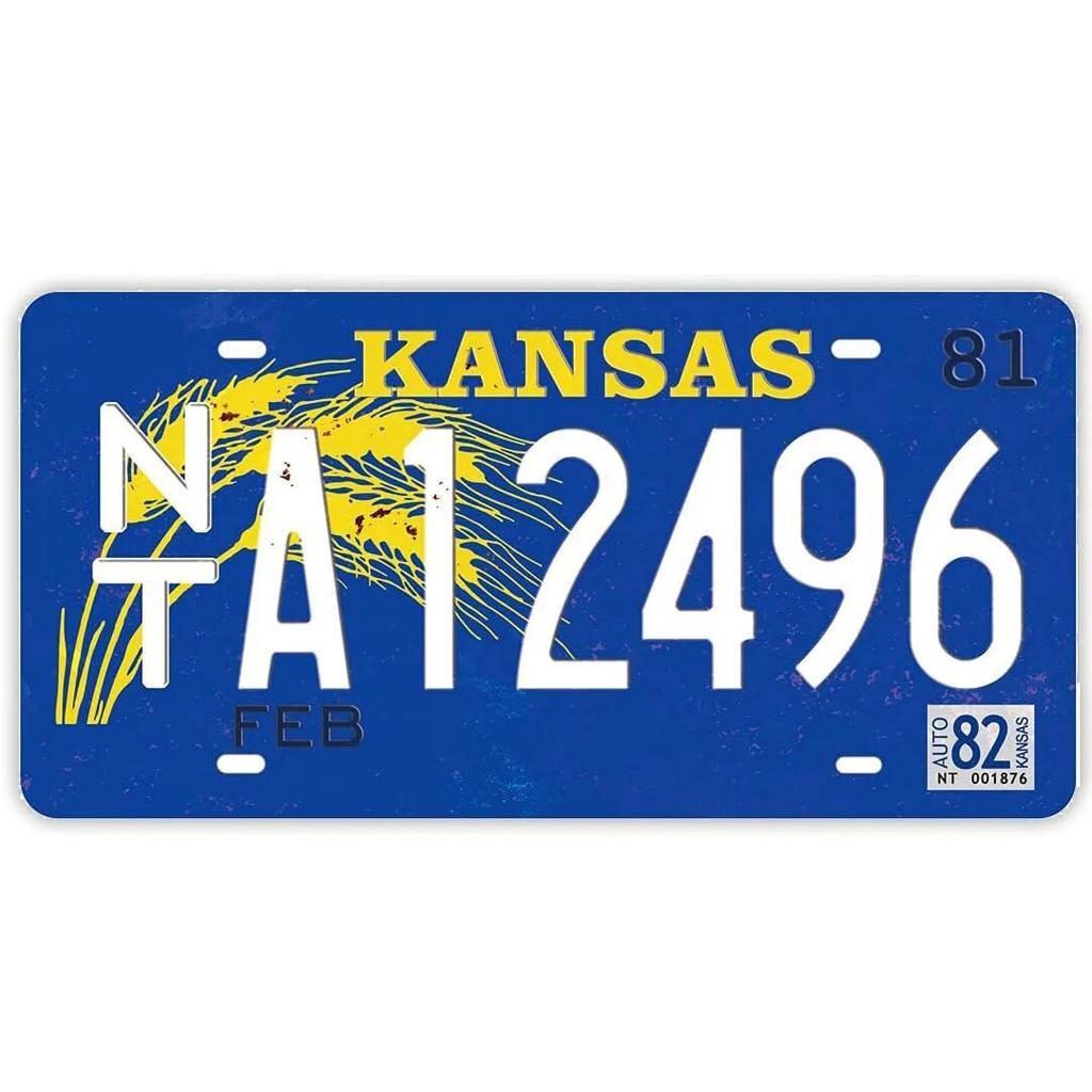 License Plate USA Retro Car Metal License Plate Novelty Wall Decoration Auto License Plate Signs Front Cover Garage Cafe Pub Bar