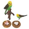 4 шт. Реалистичная фигурка цикла роста попугая, Образовательная игра, Симуляция птицы, Модель животного, Фигурка