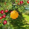 Heat-resistant Fly Ball Trap Yellow Mosquito Ball Trap Armyworm Ball Fruit Fly Balls  Garden