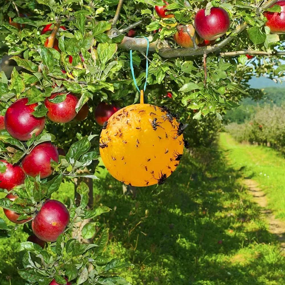 Heat-resistant Fly Ball Trap Yellow Mosquito Ball Trap Armyworm Ball Fruit Fly Balls Garden