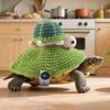 Свитер-черепаха Вязаный наряд для питомца-черепахи Теплый зимний костюм для питомца с эластичным ремешком для питомца-черепахи Костюм для косплея на вечеринку, фотосессии