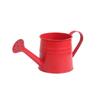 Металлическая лейка с удобной ручкой Маленькая садовая лейка Длинный носик для полива в помещении и на улице Свадебный сад