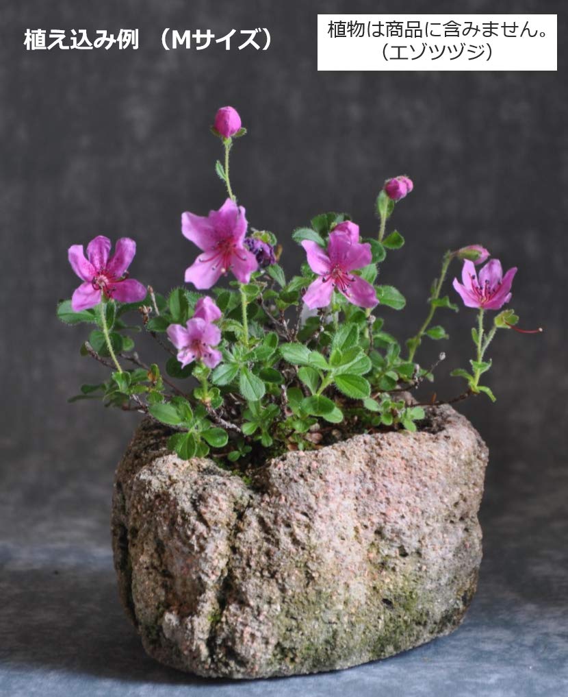 Огнеупорные горшки из пемзы Kobohayachine, Средние - Для выращивания полевых цветов, бонсай и суккулентов, Набор из 2 шт.