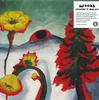 CD WOODS - Strange To Explain 099 Woodsist 2020 США Рок