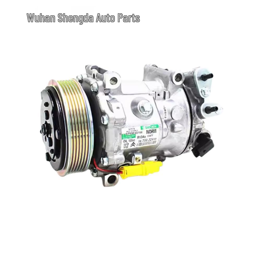 Applicable Air Conditioning Compressor for Peugeot 207, 208, 307, 408, C2, C4 (9651910980).