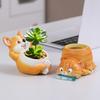Animal Flower Pot Cat Dog Succulents Pots Resin Planter with Drainage Hole for Succulents Home Office Desk Decoration