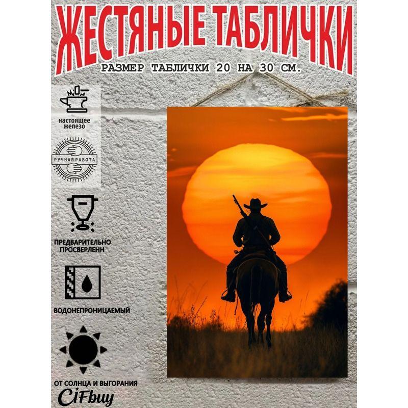Металлическая жестяная табличка "Ковбой на лошади" 20x30 см Рустикальный декор стен