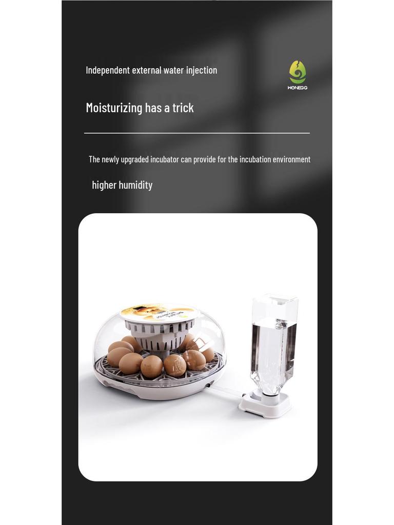 WONEGG Полностью автоматический инкубатор для цыплят на 12 яиц с прозрачной крышкой и автоматическим пополнением воды