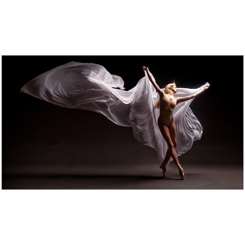 Элегантный Танец Современного Искусства Женщина Боди-Арт Картина Маслом Холст Картины Куадрос Фон Украшения Стены