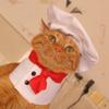 Cosplay Props Pet Cooking King Hat Polyester Cat Dog Transformation Dress Soft Pet Hat Pet