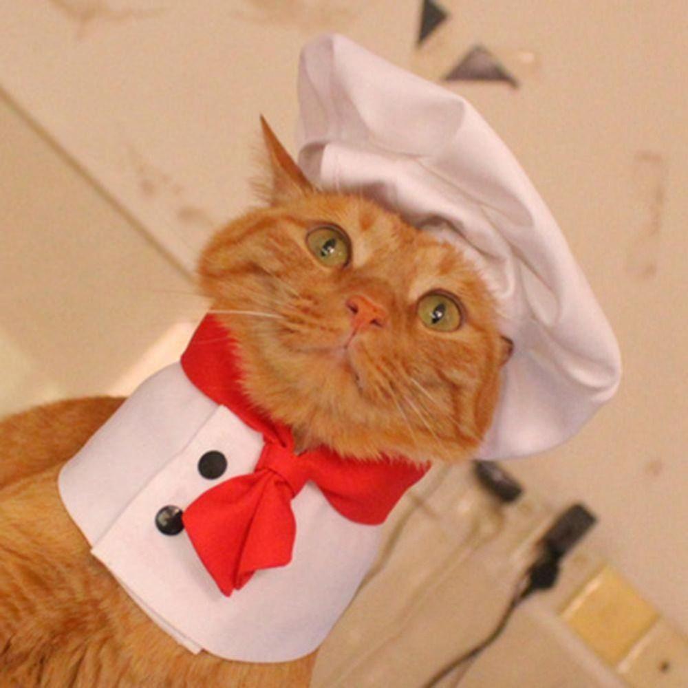 Polyester Cat Chef Hat Set Cosplay Props Cat Dog Transformation Dress Pet Cooking King Hat Pet