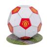 Manchester United FC Футбольный 3D-пазл