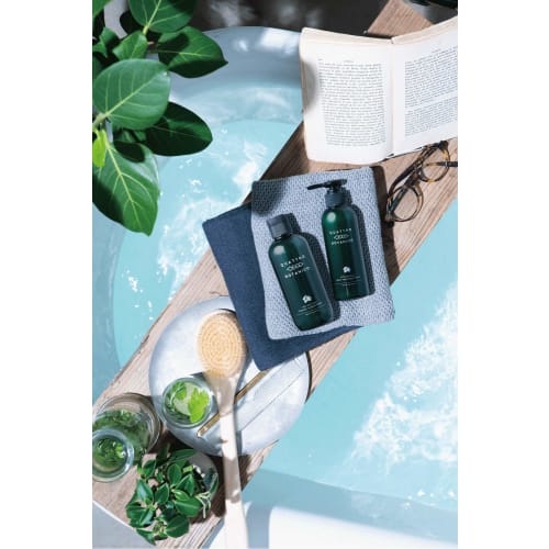 Quattro Botanico Body Cream Lime & Blackberry Scent Moisturizing [Botanical Body Treatment Milk] Pump for Dry Skin and Sensitive Skin Men's Unisex Add