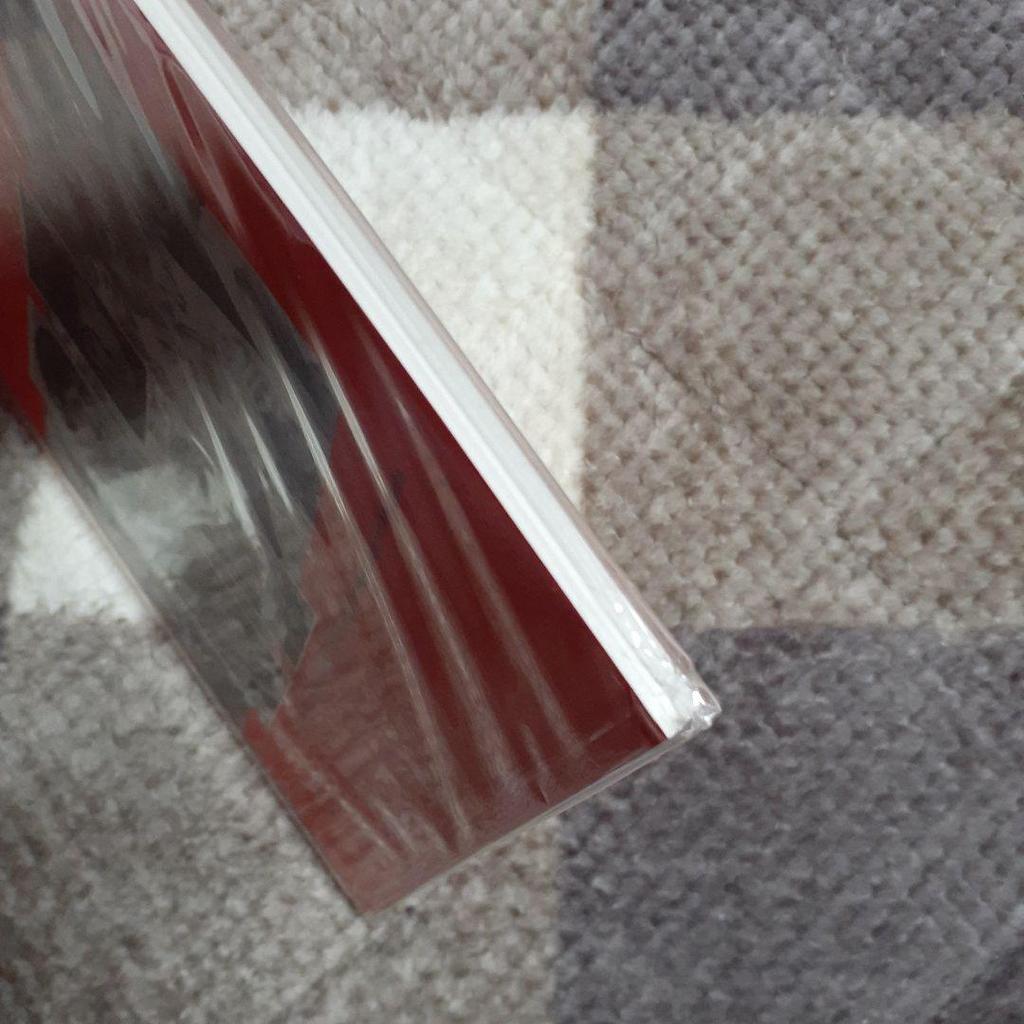 [USED] Unread A SPECIAL MADNESS Beatles English Book