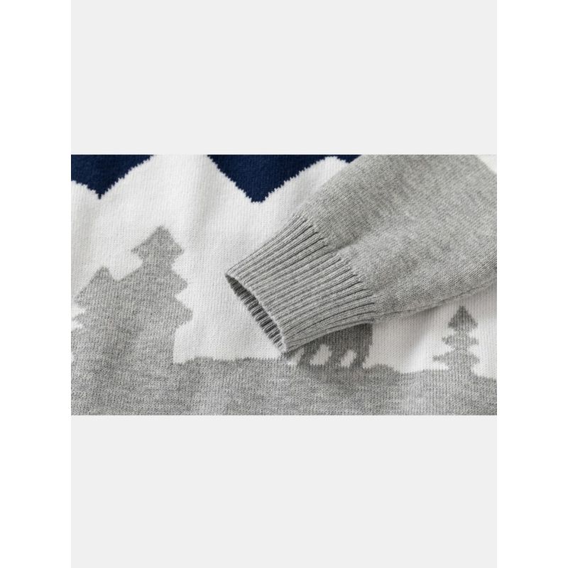 Autumn and Winter Boys' round Neck Long Sleeve Sweater Kids Double-Layer Thickened Cotton Cotton Knitwear Baby Boys' Knitwear 2024 New Arrival