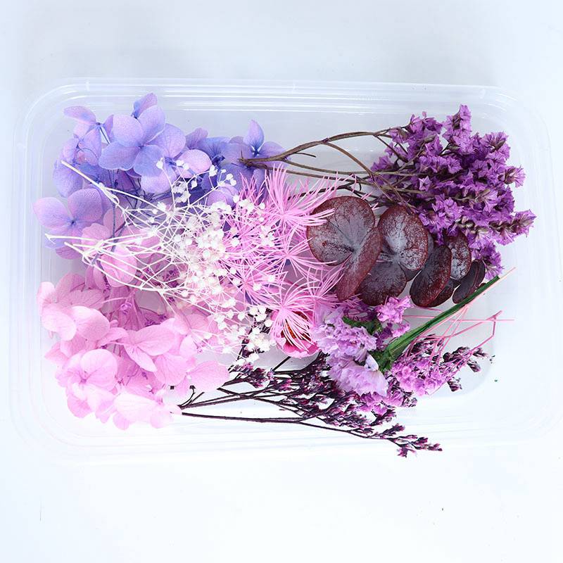 Preserved Fresh Flower Rabbit Tail Grass Dried Flower Hydrangea Dried Christmas DIY Material Package