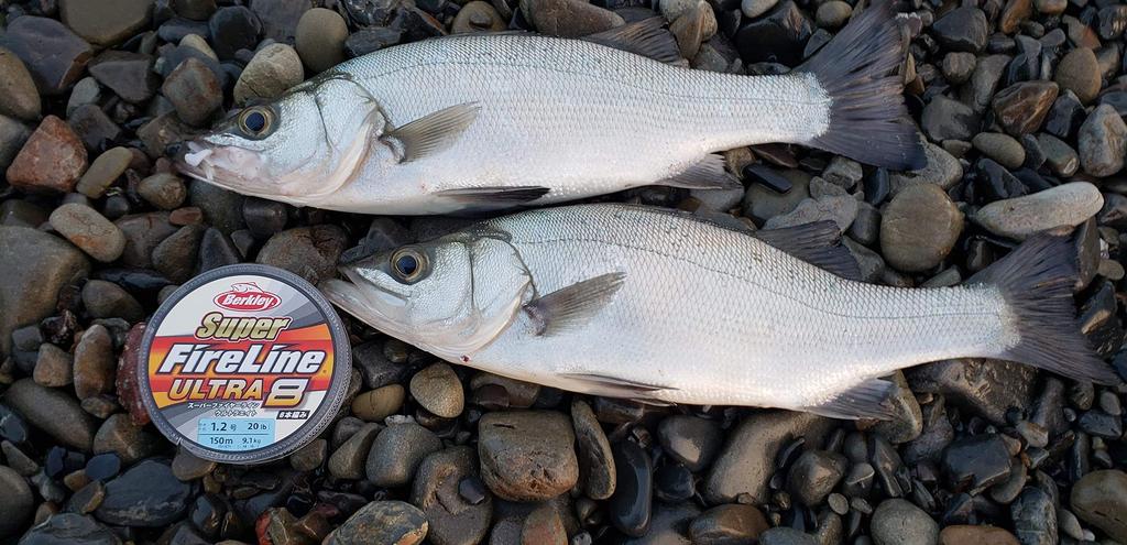 Berkley Super Fire Line Ultra 8 150m Crystal PE Line 1.0/16lb Line/Super Line/Seabas