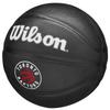 Wilson Мини-мяч Team Tribute Toronto Raptors, черный, баскетбольный мяч унисекс