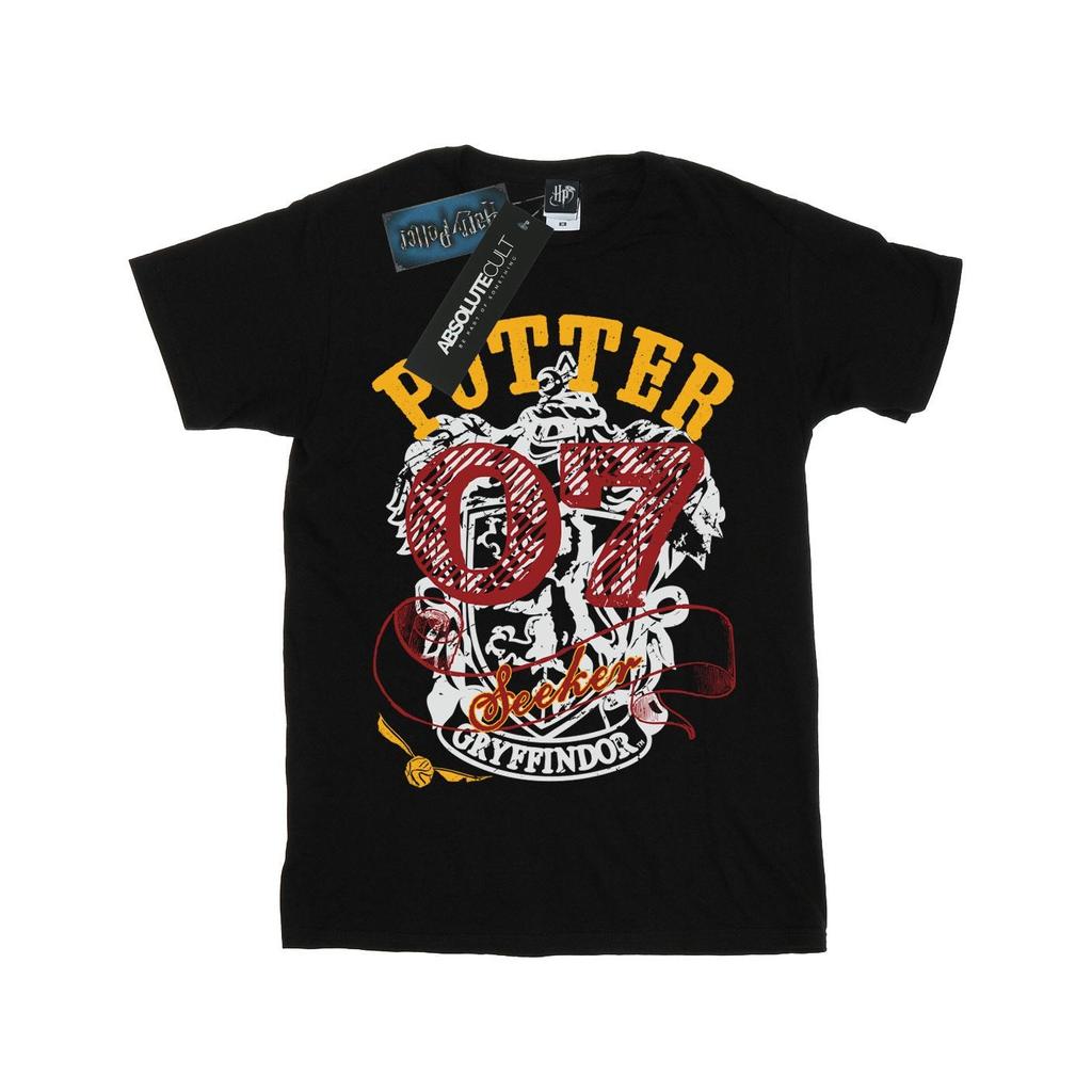 Harry Potter Mens Gryffindor Seeker T-Shirt