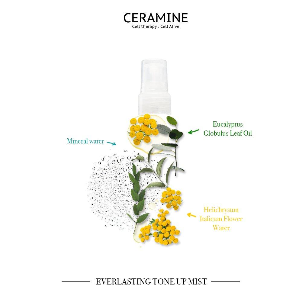 Вечный тонизирующий спрей 60 мл