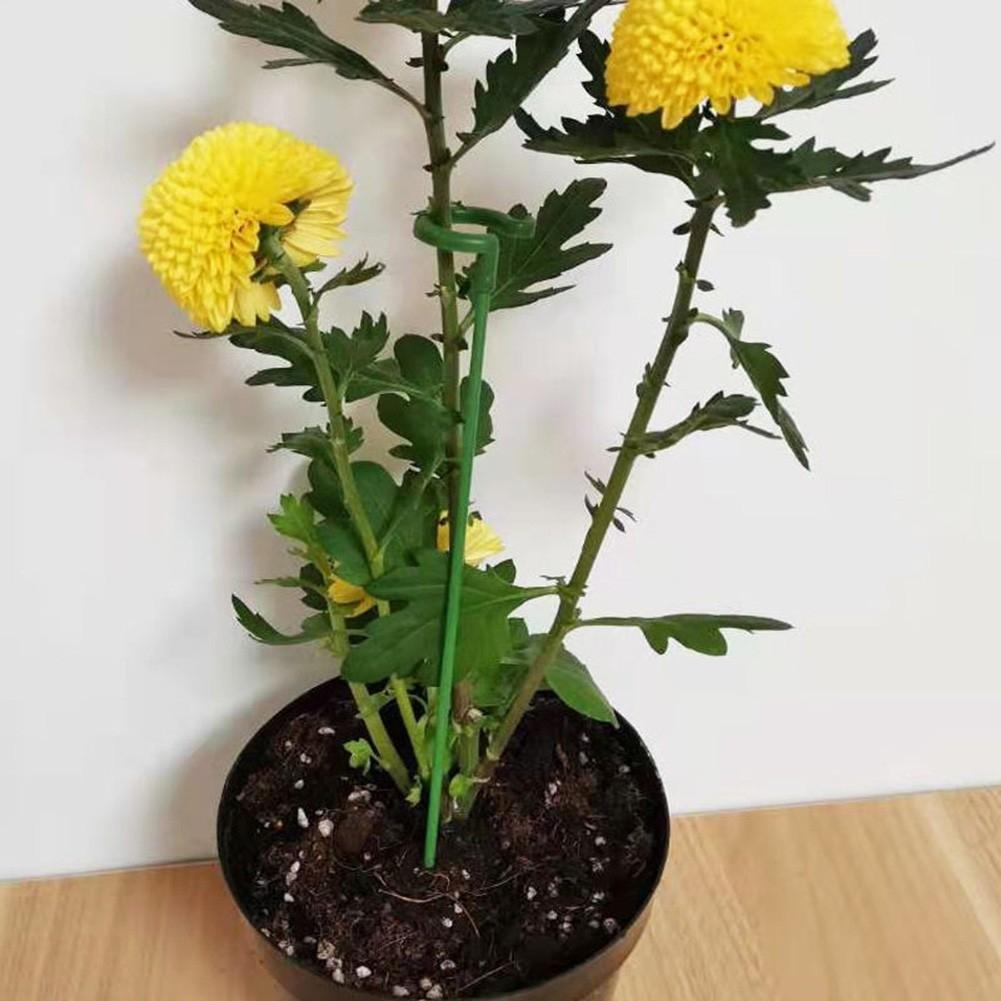 Подставка для цветов из шпалеры, опора для растений из стержня фаленопсиса