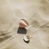 1LSTUDIO PINK OPAL RING