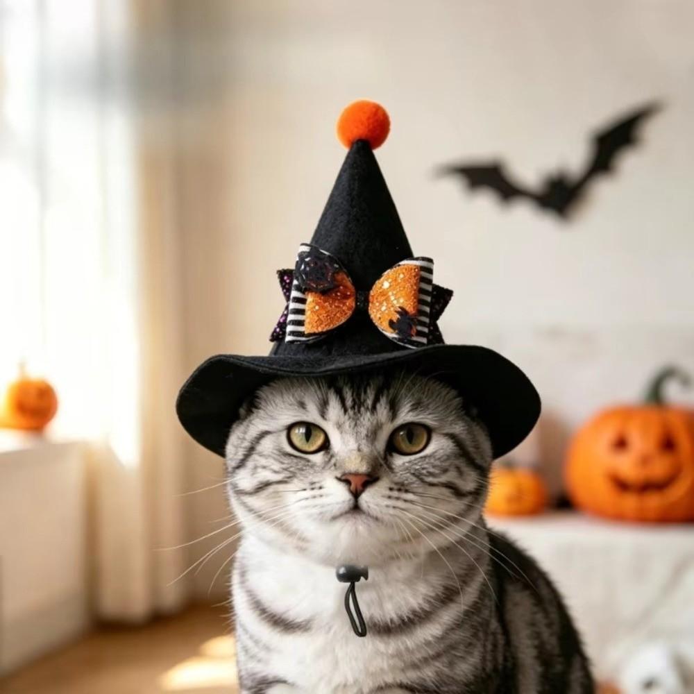 Pointed Brim Cat Witch Costume Cap Adjustable Strap Skeleton Spider Pet Hat  Holiday Decoration