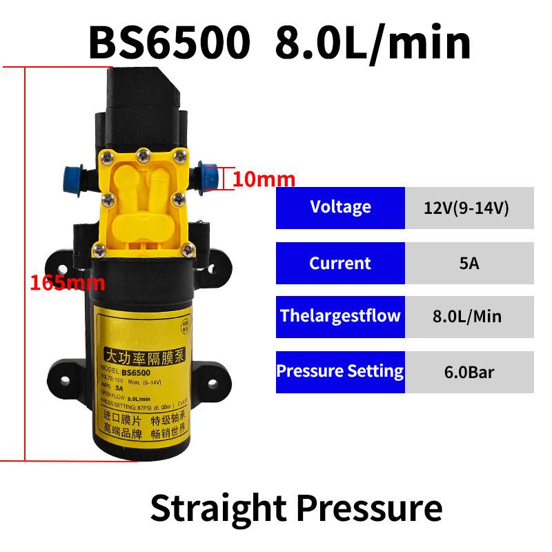 12V Agricultural Electric Spray Water Pump Small High-pressure Spraying Pump Self-priming Diaphragm Pump Pesticide Water Pump