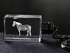 Haflinger Fohlen - Crystal Pendant with Photo of a Horse, Illuminated Pendant, Unique Gift by Art-Dog Brand