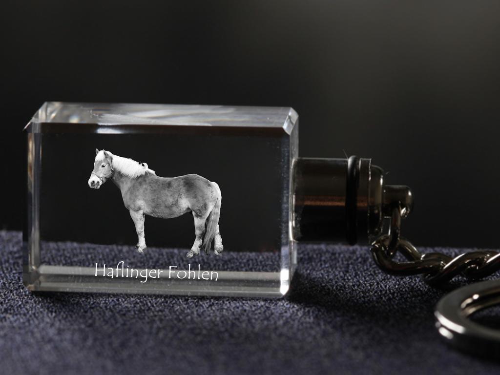 Haflinger Fohlen - Crystal Pendant with Photo of a Horse, Illuminated Pendant, Unique Gift by Art-Dog Brand
