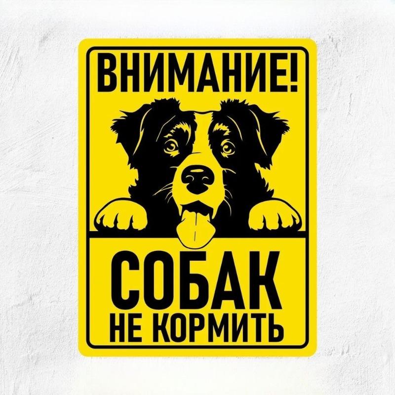 Предупреждение Злая Собака Жена Металлическая Вывеска, Забавная Табличка для Декора Дома