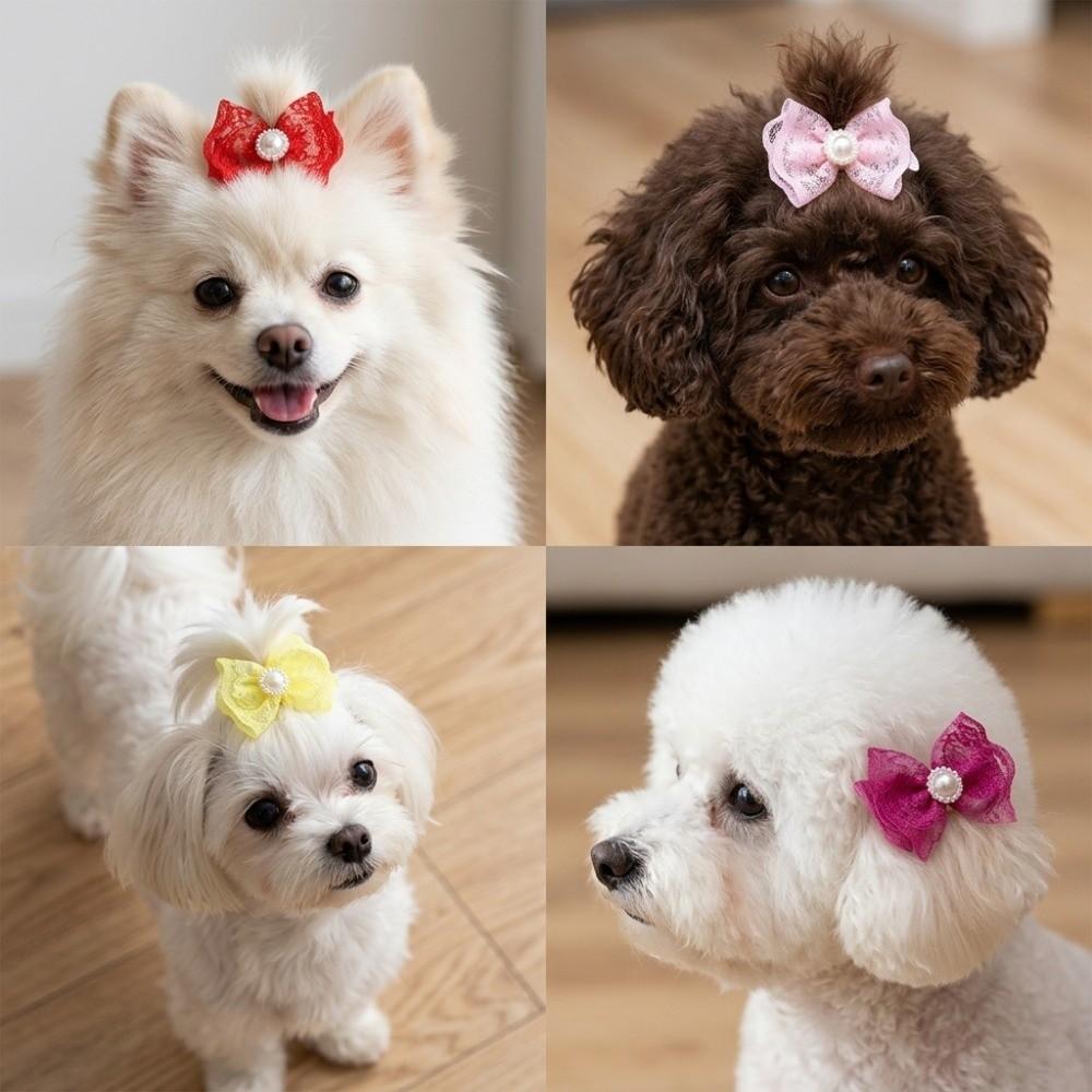20Pcs Non-elastic Dog Hair Flower Bow Shape Pet Lace Headwear Pet Bow Hair Band Daily Decoration