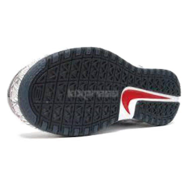 Nike LeBron 6 United We Rise 346526-141