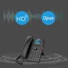 IP-телефон Fanvil X303P (Китайская версия)