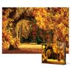 Красочная осенняя листва дубов - пазл из 1000 деталей, популярная корейская головоломка