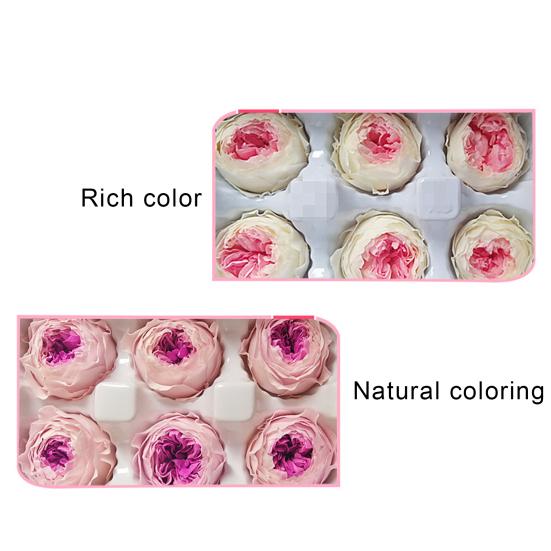 Нежные бессмертные цветы, действительно выглядящие, элегантные, экологически чистые