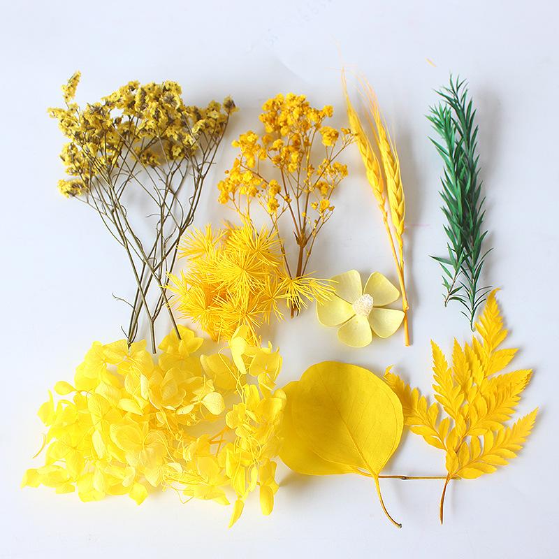 Box Packed Dry Flower Eternal Flower Material Bag DIY Frame Glass Bottle Drip Glue Handmade Real Flower Handicraft Production