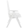 VidaXL Garden Reclining Chairs 2 Pcs Plastic White