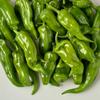 50 Ox Horn Pepper Seeds - SemiWild Permaculture