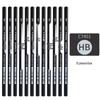 Beginner's Charcoal and Carbon Sketch Pencil Set: 2B & 4B Soft, Thick Drawing Pencils for Art Students