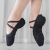 Women Girls Ballet Shoes Stretch Canvas Ballet Split Sole Dance Yoga Shoes