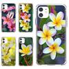 For iPhone 10 11 12 13 Mini Pro 4S 5S SE 5C 6 6S 7 8 X XR XS Plus Max 2020 Group of Beautiful Frangipani Flowers Soft Bag Case