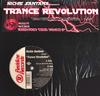 12-дюймовая пластинка RICHIE SANTANA - Trance Revolution WR2931 Reddline Record 2000 US Танцевальная и Электронная Б/У