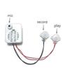 Recordable Plush Toy Sound Recorder 30 Second Voice Recorder Module   Baby Dolls