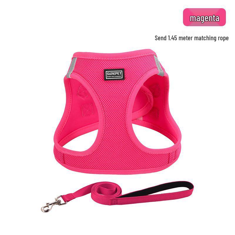 Защитная шлейка и поводок для кошек и маленьких собак - Веревка для прогулок на улице для тедди и бишон-фризе